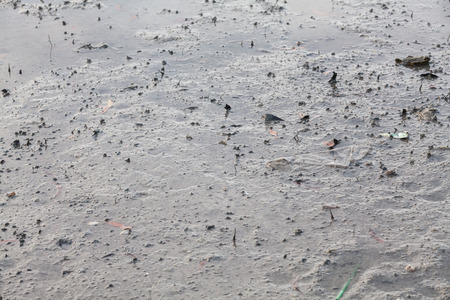 Close up view of mud texture for blur backgroundの写真素材