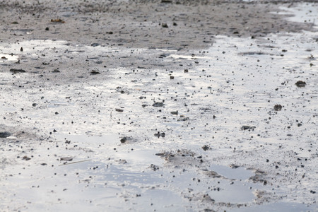 Close up view of mud texture for blur backgroundの写真素材