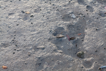 Close up view of mud texture for blur backgroundの写真素材
