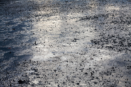 Close up view of mud texture for blur backgroundの写真素材