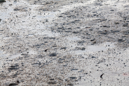 Close up view of mud texture for blur backgroundの写真素材