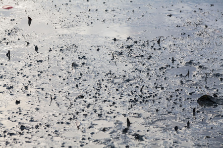 Close up view of mud texture for blur backgroundの写真素材