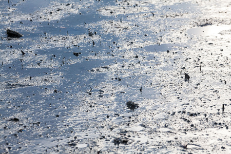 Close up view of mud texture for blur backgroundの写真素材