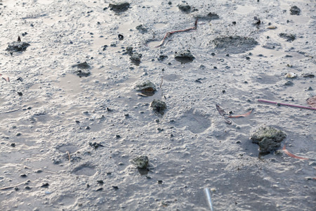 Close up view of mud texture for blur backgroundの写真素材