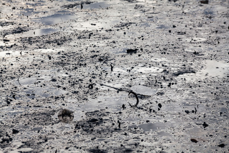 Close up view of mud texture for blur backgroundの写真素材