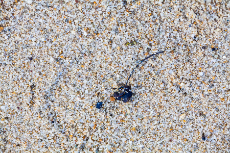 Close up view of hard sand texture for blur backgroundの写真素材