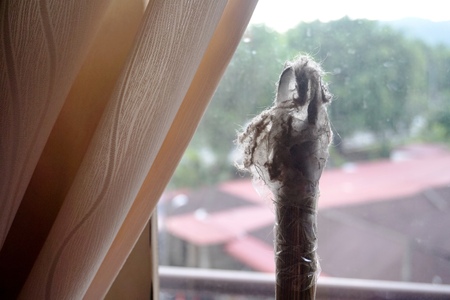 Close up view of dust and spider web indicating spring cleaningの写真素材