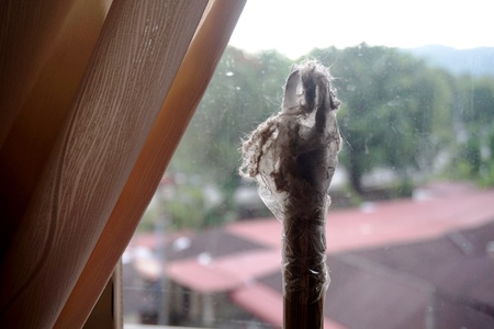 Close up view of dust and spider web indicating spring cleaningの写真素材