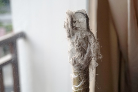 Close up view of dust and spider web indicating spring cleaningの写真素材
