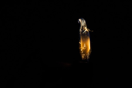 Close up view of real sparking light from lighter in dark black backgroundの写真素材