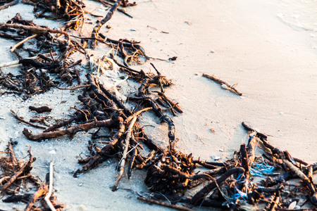 Polluted shore view for good environment awareness photoの写真素材