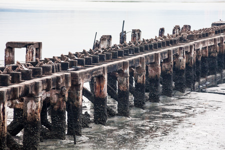 Broken concrete bridge on top of mudの写真素材
