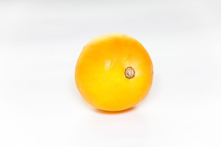 Orange tomato view in close up with blur isolated white backgroundの写真素材