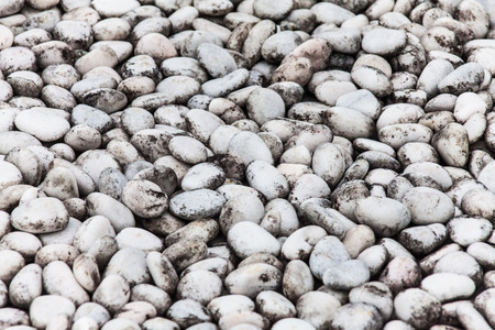 Close up view of blur rock texture for backgroundの写真素材