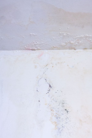Dirt watery ceiling leaking view indicating dangerous of flood and mold growの写真素材