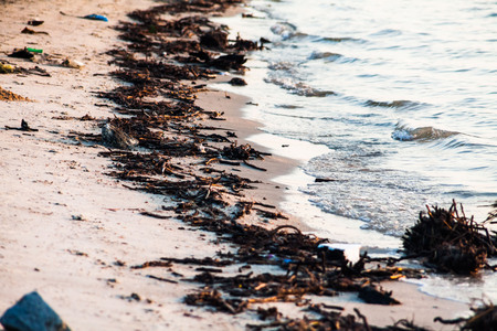 Polluted shore view for good environment awareness photoの写真素材