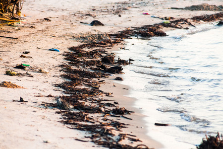 Polluted shore view for good environment awareness photoの写真素材