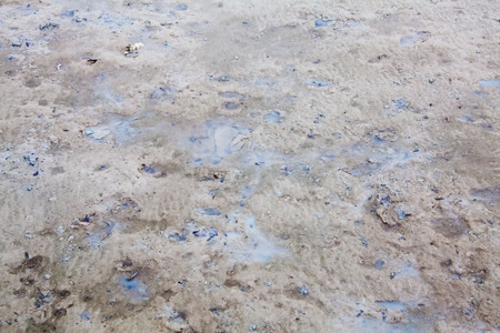 View of blurry mud texture used for clay mask in beauty productsの写真素材