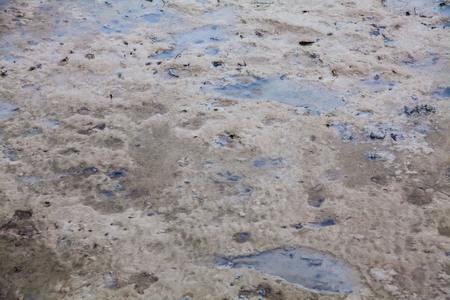 View of blurry mud texture used for clay mask in beauty productsの写真素材
