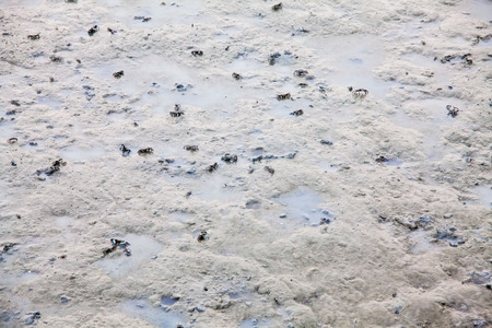 View of blurry mud texture used for clay mask in beauty productsの写真素材