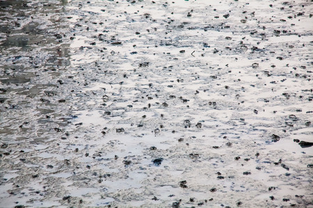View of blurry mud texture used for clay mask in beauty productsの写真素材
