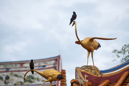 Real bird on top of Chinese Temple roofの写真素材