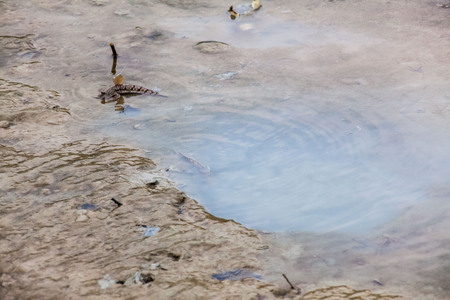 View of blurry mud texture used for clay mask in beauty productsの写真素材