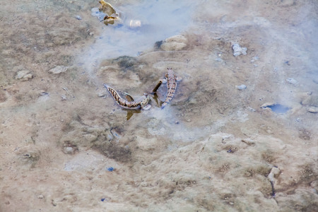 View of blurry mud texture used for clay mask in beauty productsの写真素材