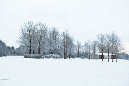 Reykjavik city hostel outside view of ice during winterの写真素材