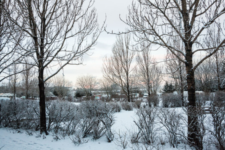 Reykjavik city hostel outside view of ice during winterの写真素材