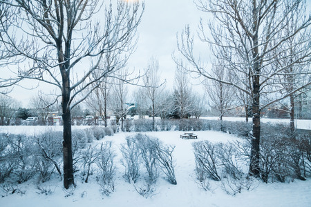 Reykjavik city hostel outside view of ice during winterの写真素材
