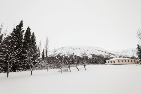 Gerdi guesthouse view during winter snow in Hofn Icelandの写真素材