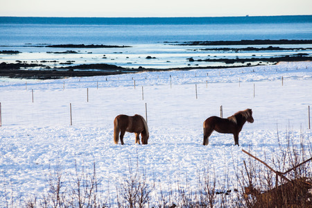 Beautiful winter snow landscape of Snaefellsnesvegur near Kirkjufellの写真素材