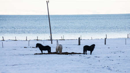 Beautiful winter snow landscape of Snaefellsnesvegur near Kirkjufellの写真素材
