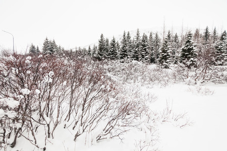 Winter snow view of Golden Circle apartment in Icelandの写真素材