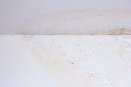 Dirt watery ceiling leaking view indicating dangerous of flood and mold growの写真素材