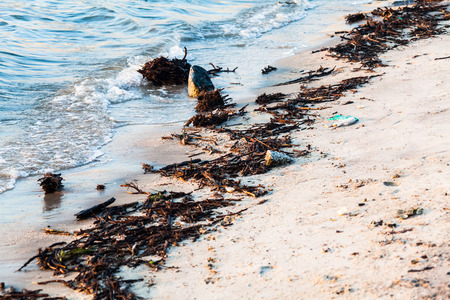 Polluted shore view for good environment awareness photoの写真素材