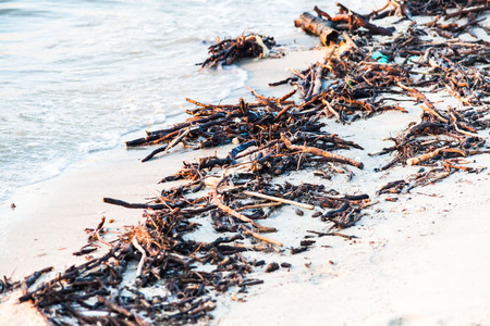 Polluted shore view for good environment awareness photoの写真素材