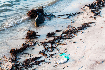 Polluted shore view for good environment awareness photoの写真素材