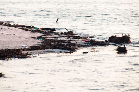 Polluted shore view for good environment awareness photoの写真素材