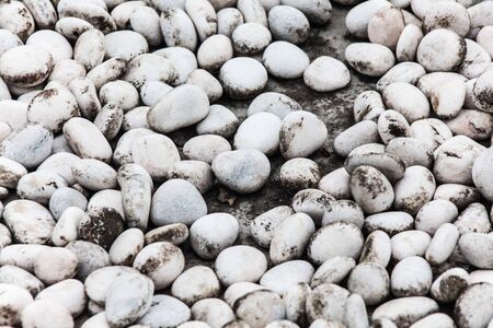 Close up view of blur rock texture for backgroundの写真素材