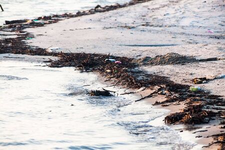 View of polluted muddy shoreの写真素材