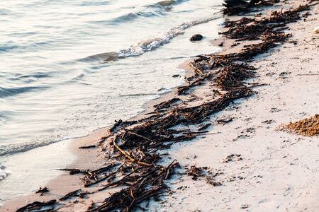 View of polluted muddy shoreの写真素材
