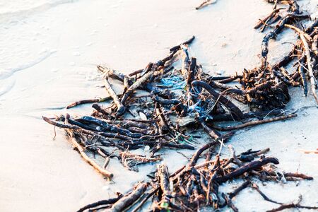 View of polluted muddy shoreの写真素材