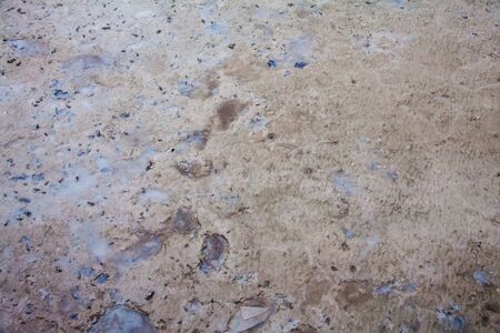 View of blurry mud texture used for clay mask in beauty productsの写真素材