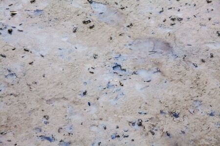 View of blurry mud texture used for clay mask in beauty productsの写真素材