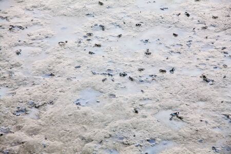 View of blurry mud texture used for clay mask in beauty productsの写真素材