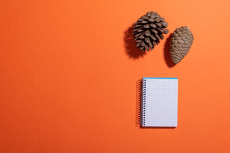 Autumn theme with blank notepad, brown pine cones and orange color copy space on the left side....