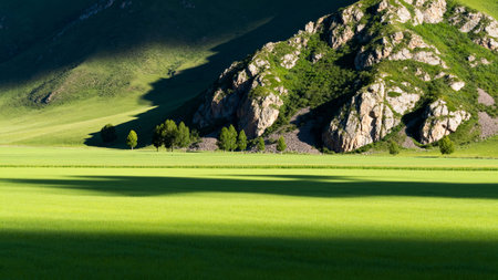 Green field with rocky hillside and treesの素材