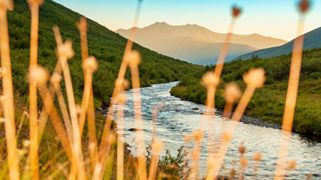 Mountain river in the valley at sunset. Beautiful summer landscape.の素材